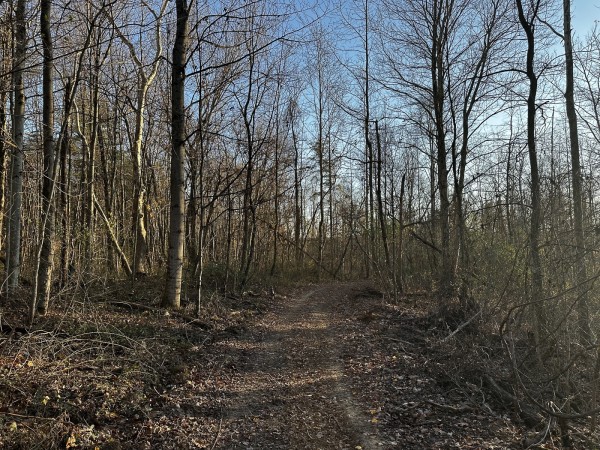 Tract 1 - The Woods at Dutch Ridge property photo