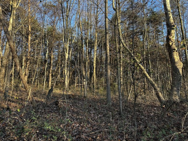 Tract 1 - The Woods at Dutch Ridge property photo
