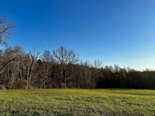 More of Tract 1 - The Woods at Dutch Ridge