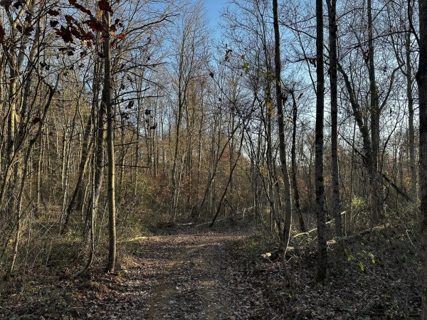 Tract 1 - The Woods at Dutch Ridge property photo