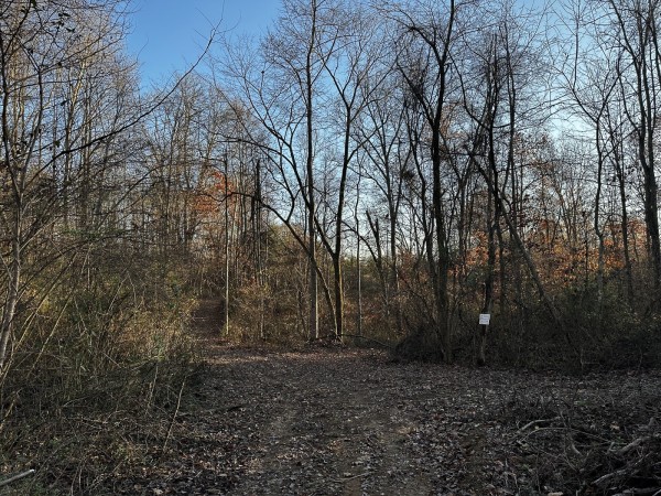 Tract 1 - The Woods at Dutch Ridge property photo