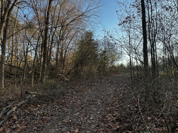 Tract 1 - The Woods at Dutch Ridge property photo