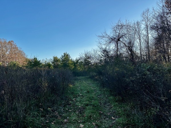 Tract 1 - The Woods at Dutch Ridge property photo