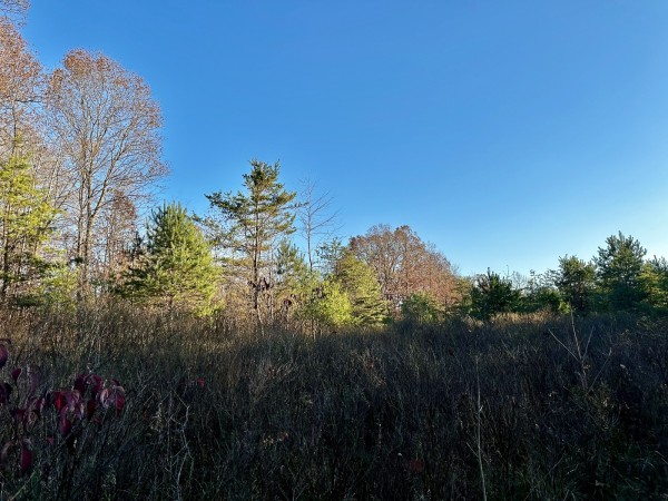 Tract 1 - The Woods at Dutch Ridge property photo