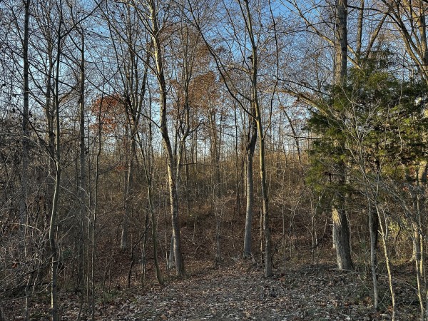 Tract 1 - The Woods at Dutch Ridge property photo