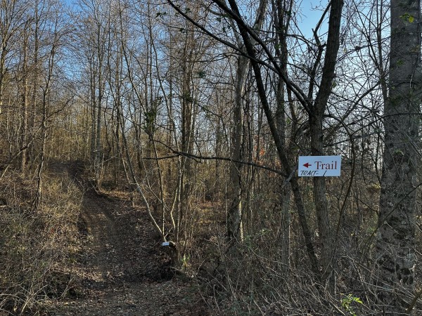 More of Tract 1 - The Woods at Dutch Ridge