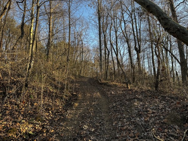 Tract 1 - The Woods at Dutch Ridge property photo