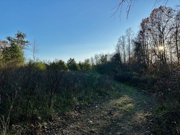 Tract 1 - The Woods at Dutch Ridge property photo