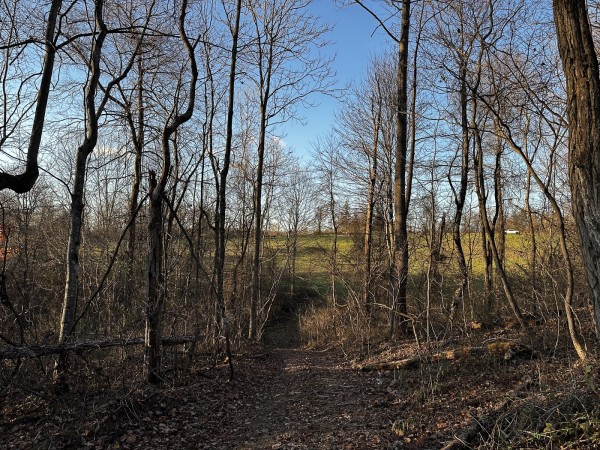 Tract 1 - The Woods at Dutch Ridge property photo