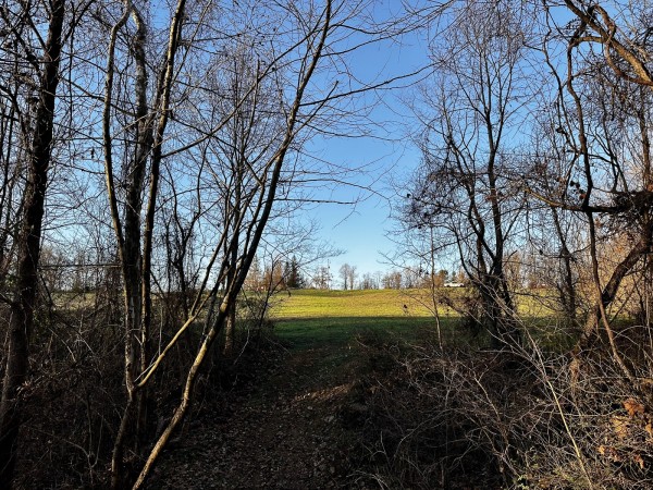 Tract 1 - The Woods at Dutch Ridge property photo