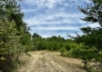 Tract 8 - The Woods at Dutch Ridge property photo
