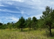 Tract 8 - The Woods at Dutch Ridge property photo