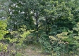Tract 8 - The Woods at Dutch Ridge property photo