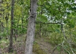 Tract 8 - The Woods at Dutch Ridge property photo