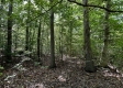 Tract 8 - The Woods at Dutch Ridge property photo