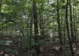 Tract 8 - The Woods at Dutch Ridge property photo