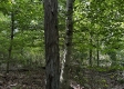Tract 8 - The Woods at Dutch Ridge property photo