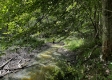 Tract 8 - The Woods at Dutch Ridge property photo