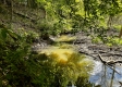 Tract 8 - The Woods at Dutch Ridge property photo