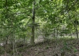 Tract 8 - The Woods at Dutch Ridge property photo