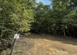 More of Tract 8 - The Woods at Dutch Ridge