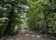 More of Tract 8 - The Woods at Dutch Ridge
