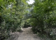 Tract 8 - The Woods at Dutch Ridge property photo