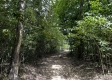 Tract 8 - The Woods at Dutch Ridge property photo