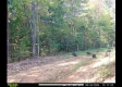 Tract 3 – Brill Road property photo