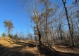 Tract 3 – Brill Road property photo