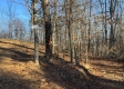 Tract 3 – Brill Road property photo