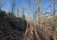 Tract 3 – Brill Road property photo