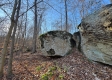 Tract 3 – Brill Road property photo