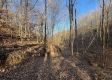 Tract 3 – Brill Road property photo