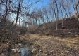 Tract 3 – Brill Road property photo