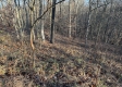 Tract 3 – Brill Road property photo