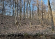 Tract 3 – Brill Road property photo