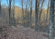 Tract 3 – Brill Road property photo