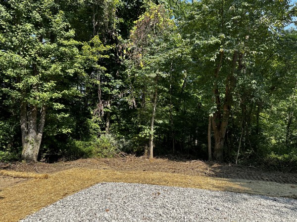 Tract 3 - Sheridan Woods property photo