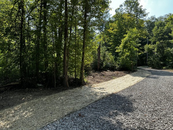 Tract 3 - Sheridan Woods property photo