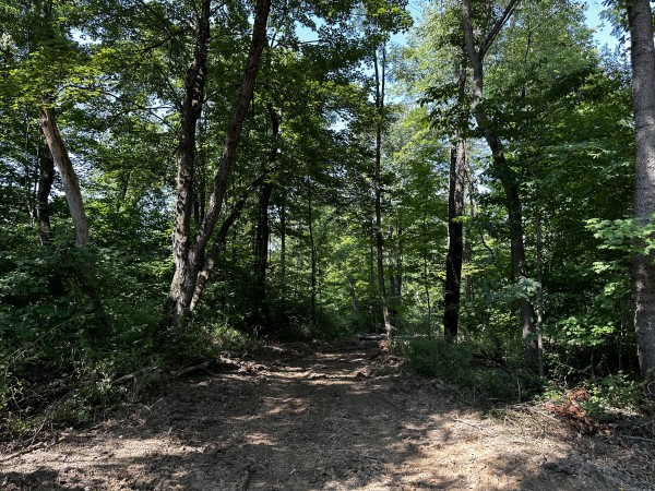 Tract 3 - Sheridan Woods property photo