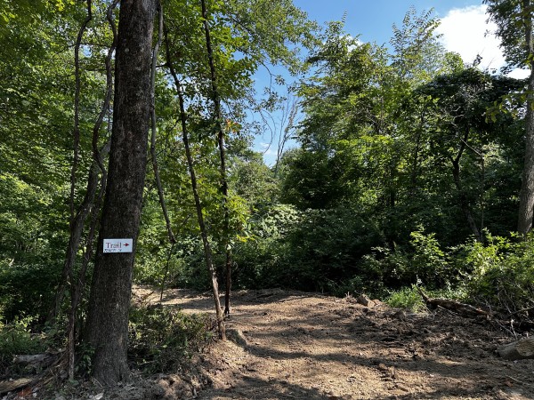 Tract 3 - Sheridan Woods property photo