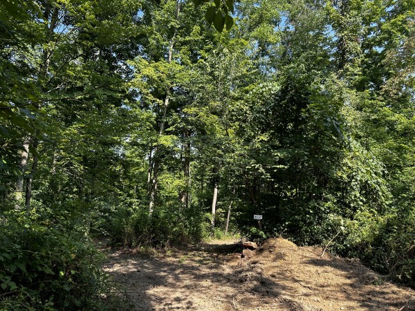 Tract 3 - Sheridan Woods property photo