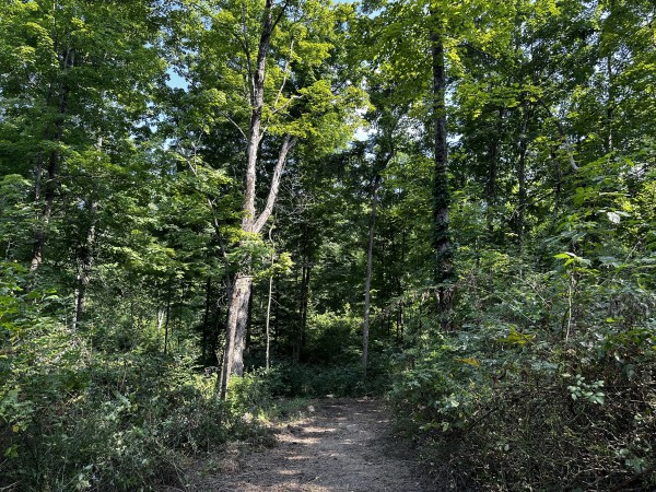 Tract 3 - Sheridan Woods property photo