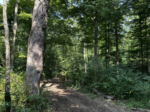 Tract 3 - Sheridan Woods property photo