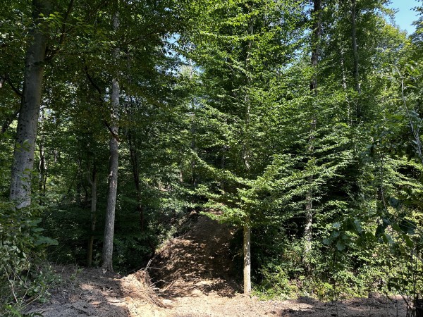 Tract 3 - Sheridan Woods property photo