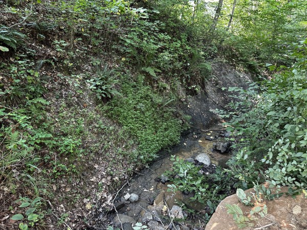 Tract 3 - Sheridan Woods property photo
