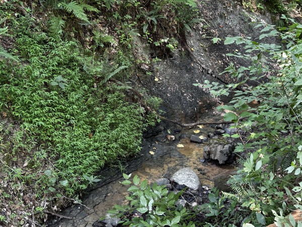 Tract 3 - Sheridan Woods property photo