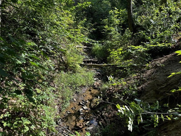 Tract 3 - Sheridan Woods property photo