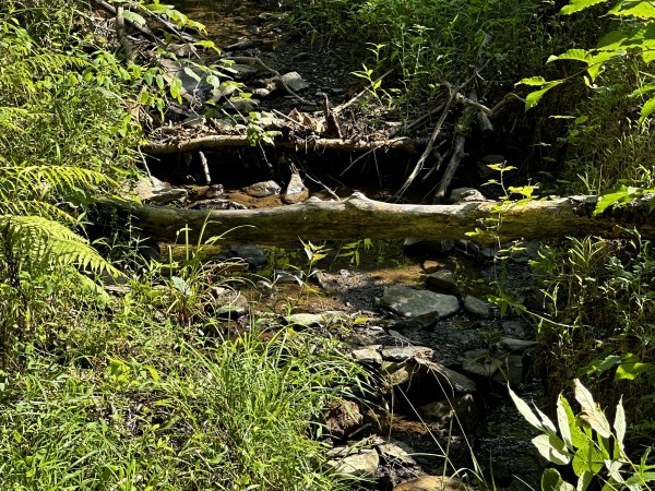 Tract 3 - Sheridan Woods property photo